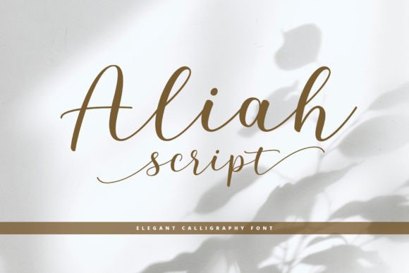Aliah Script: Where Modern Flows Meet Timeless Grace