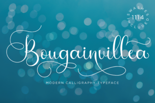 Bougainvillea Script: The Font That Feels Like a Personal Touch