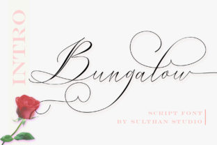 Bungalow Script: The Handwritten Typeface with Heart