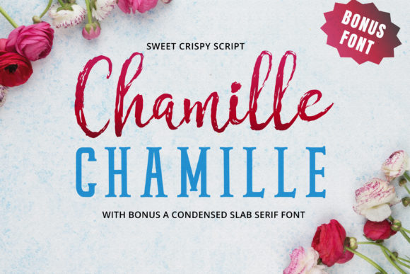Chamille Script: A Sweet Font for High-End Branding