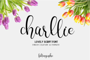 Charllie Script: The Elegant Touch Your Brand is Missing