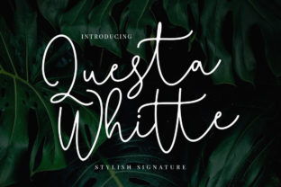 Questa Whitte Script: Capturing Speed and Authenticity in Design